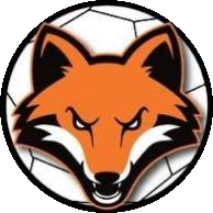 Logo ACL Handball