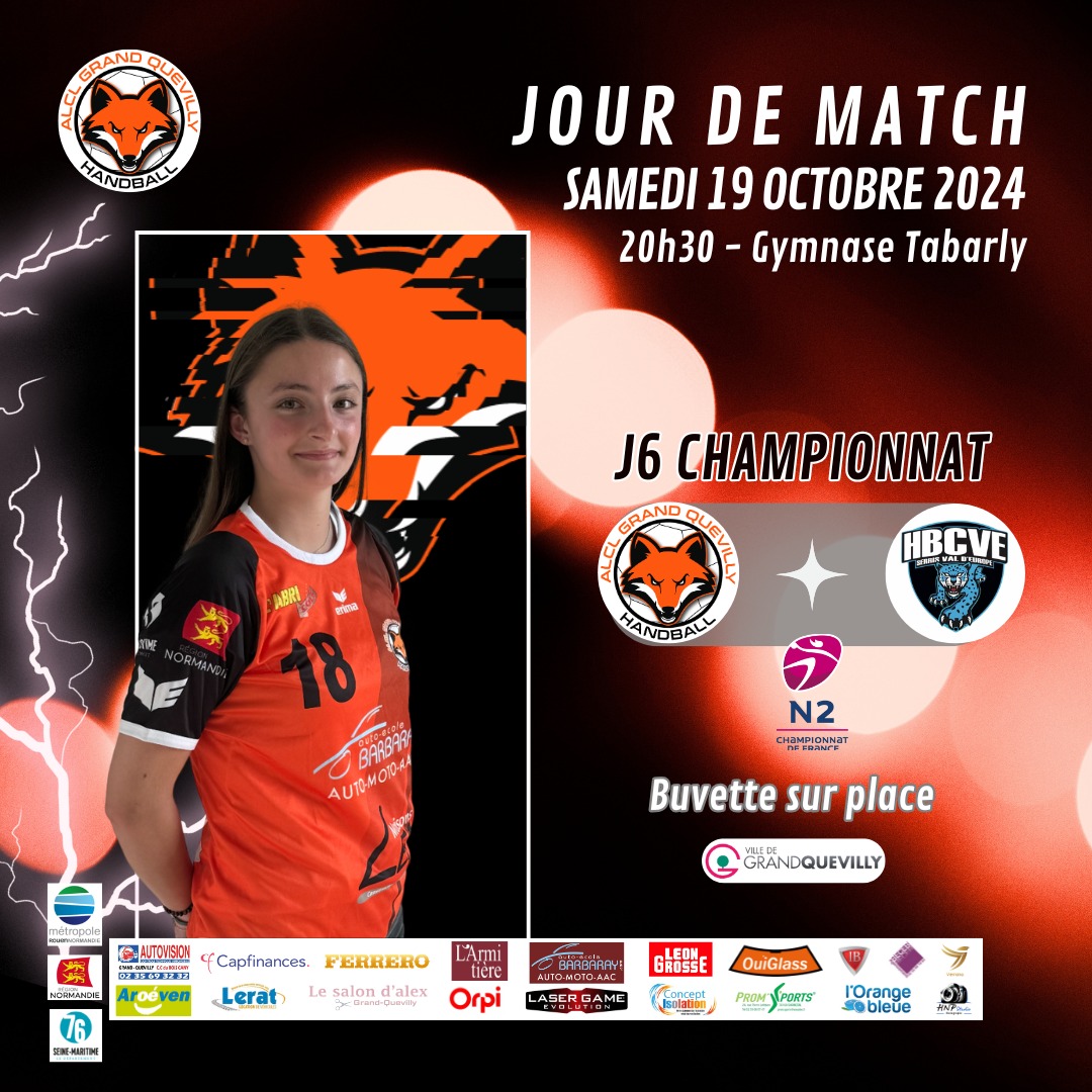 Photo de groupe Séniors Féminines - ALCL Handball