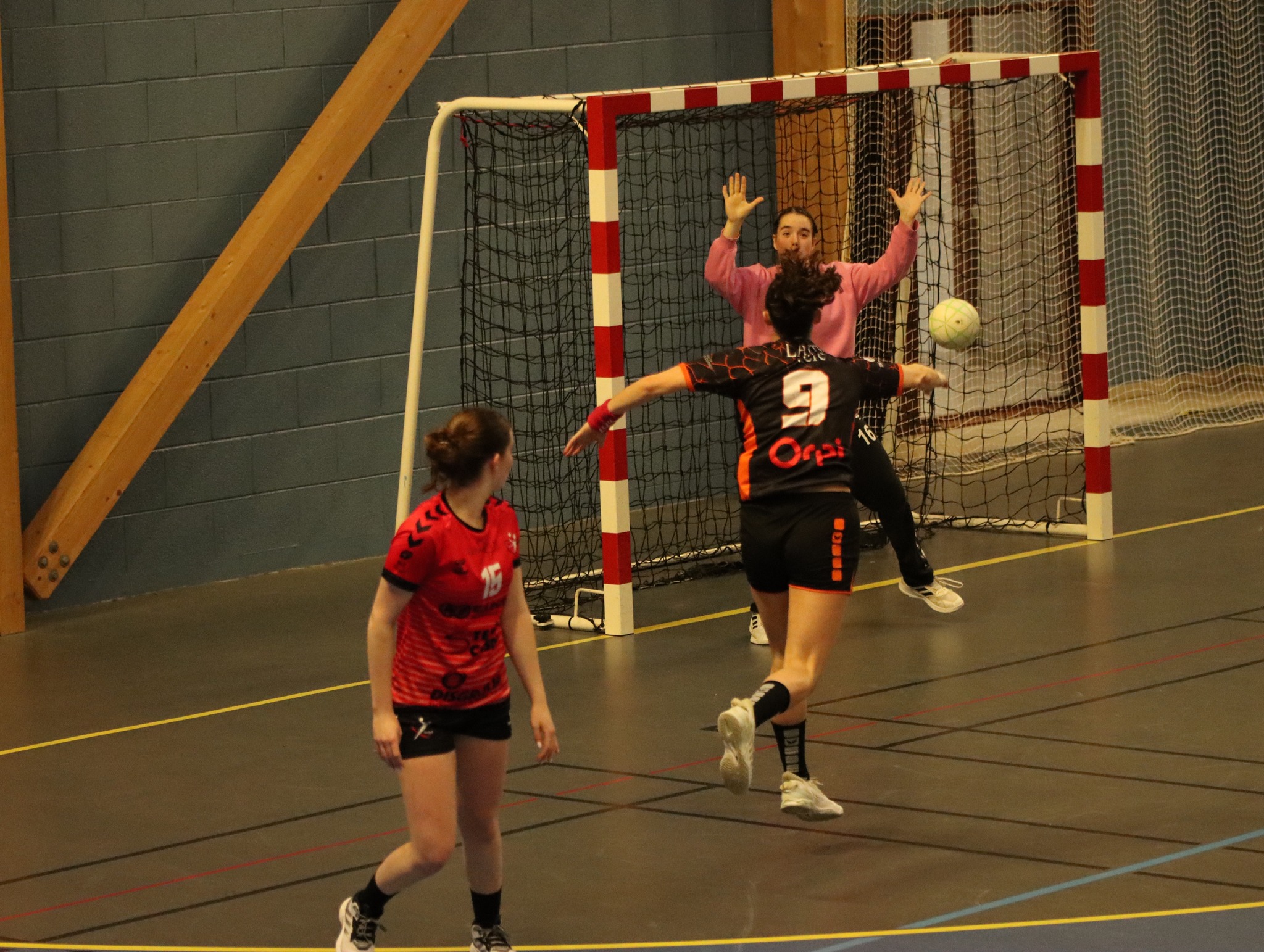 Photos - Séniors Féminines - ALCL Handball