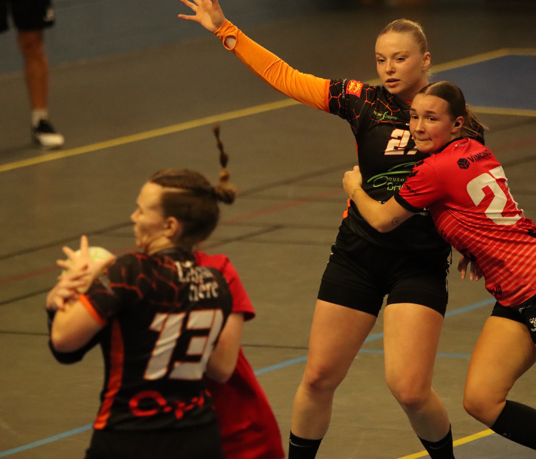 Photos - Séniors Féminines - ALCL Handball
