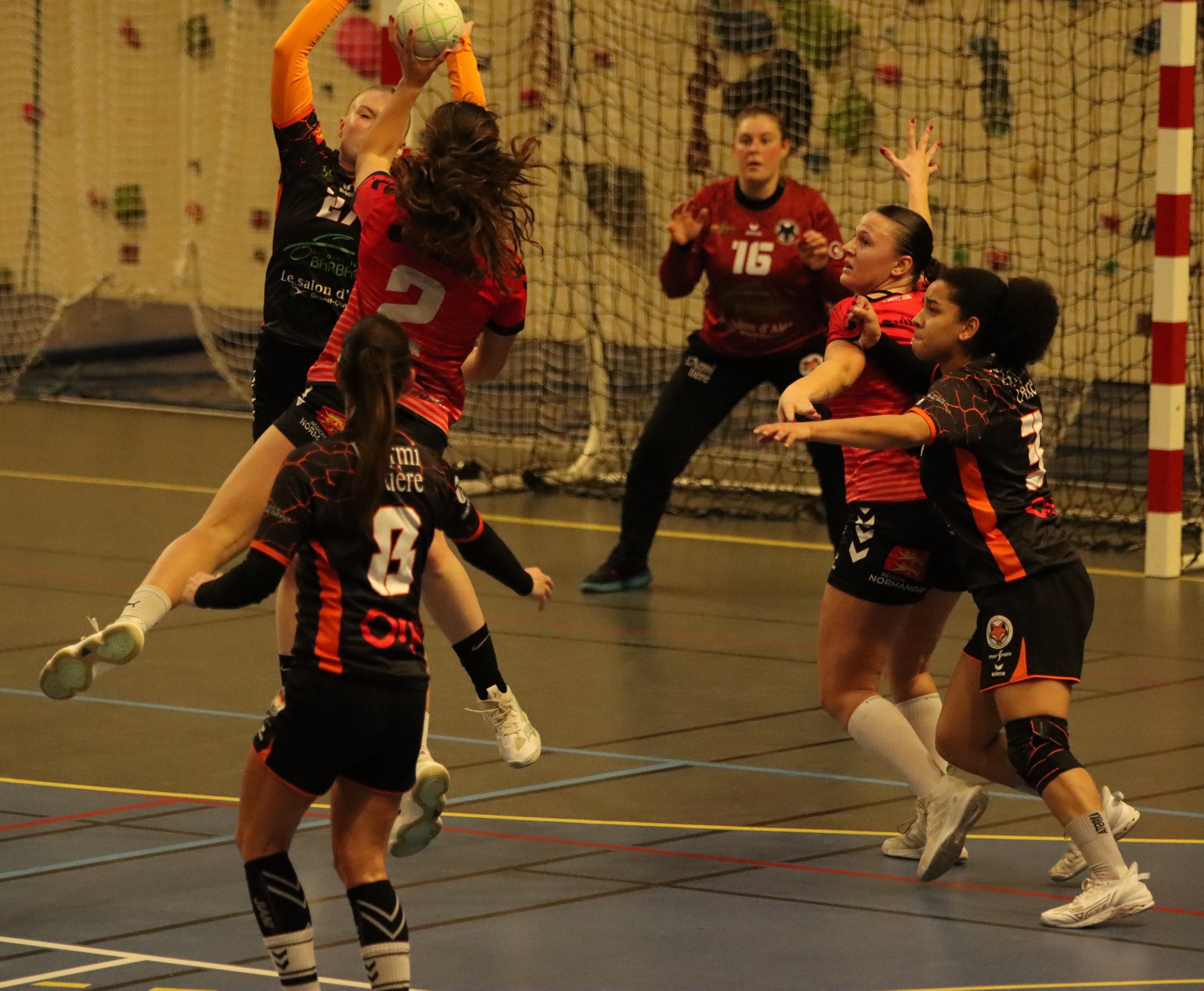 Photos - Séniors Féminines - ALCL Handball